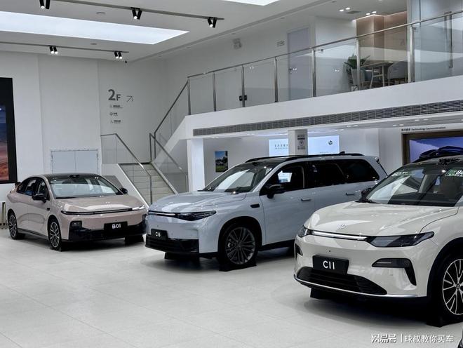 大启幕 含浦片区迎来智能出行新地标AG真人直营零跑汽车长沙云栖路店盛(图11)